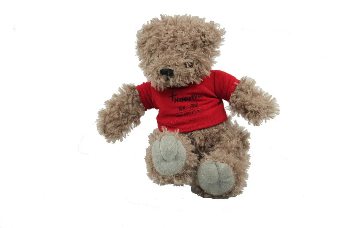 20cm Teddy Bear Plush Toy With T-Shirt