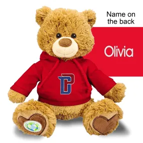 Personalized Detroit Pistons "DP" 10" Plush Bear 2